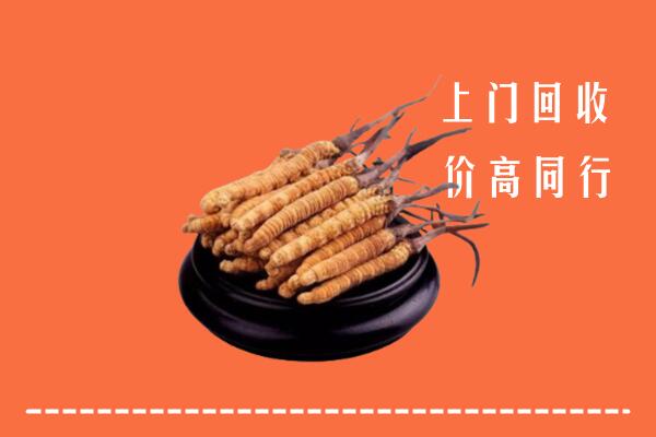 高价求购：钦州回收散虫草